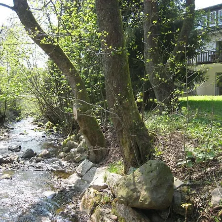 Gruen-am-wurmberg 公寓 布劳恩拉格